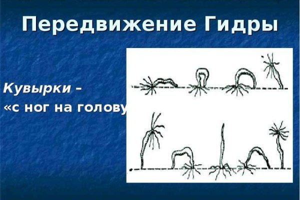 Сайт кракен kraken