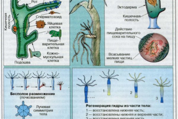 Как сделать заказ на кракен