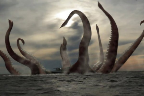 Kraken пользователь не найден при входе