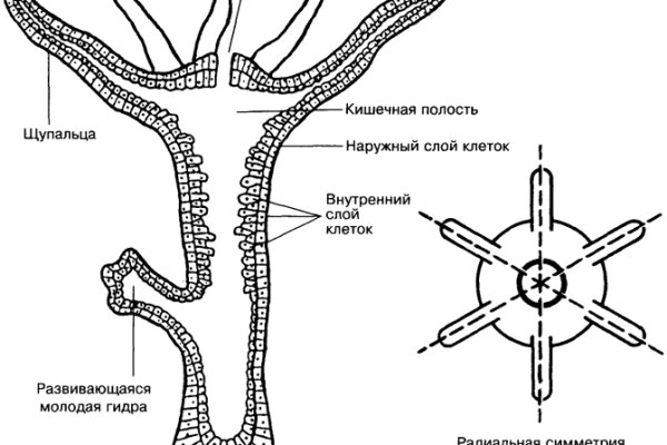 Кракен наркоз магазин